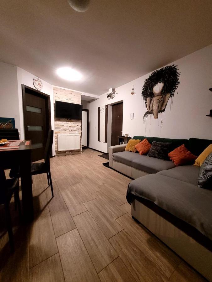 Dds Apartment Braşov Exterior foto